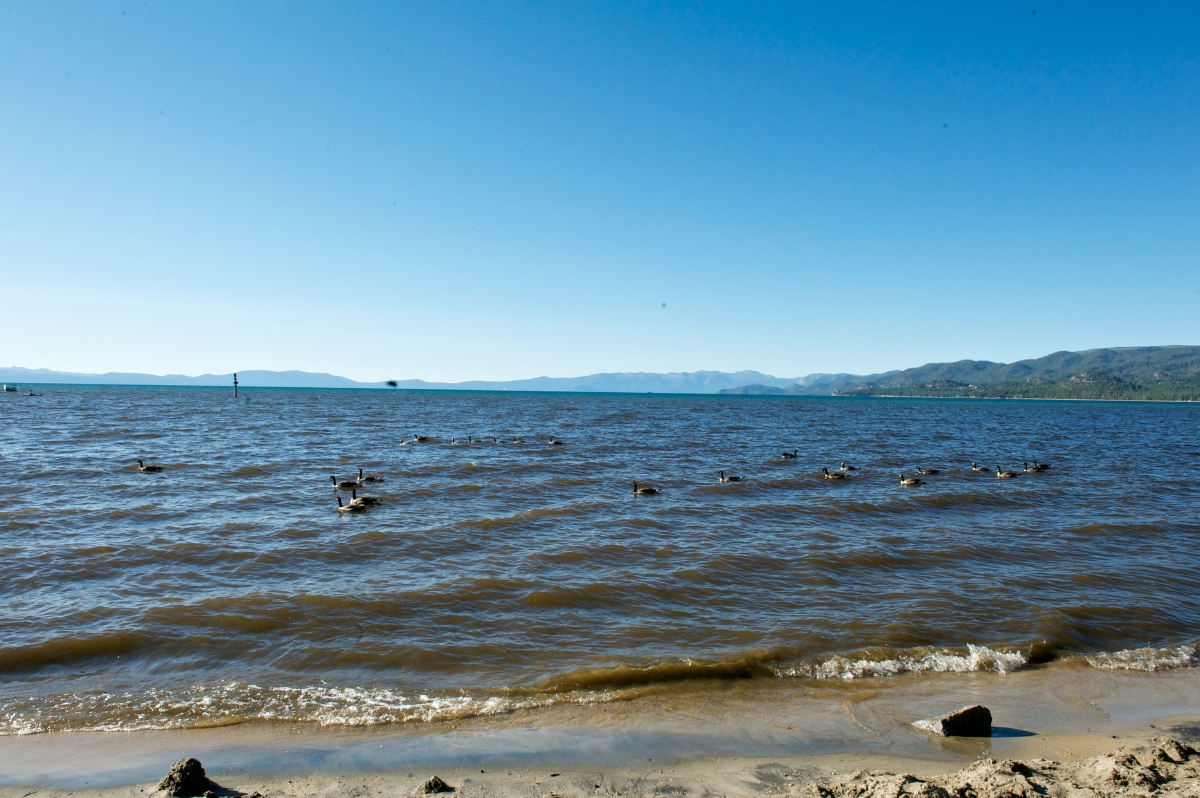 Tahoe Summer 2010 853.jpg